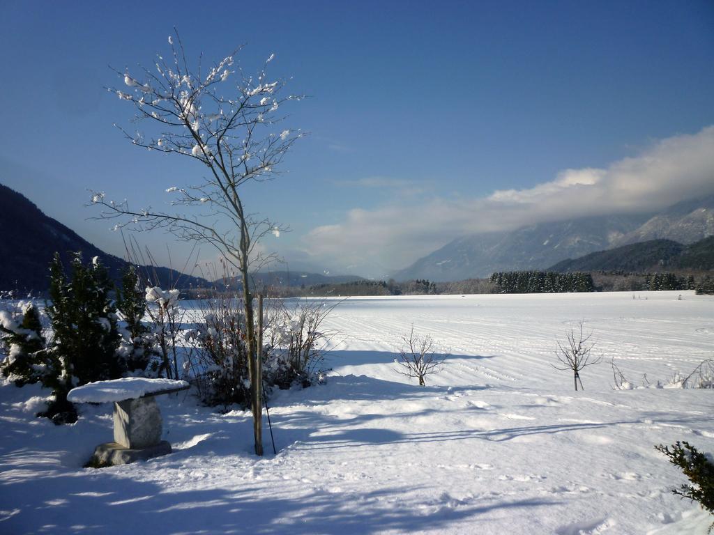 Ferienwohnung Wettl Vorderberg 外观 照片